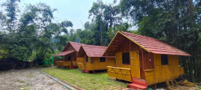 Nature Coorg camping, Jeep safari